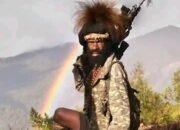 12 Catatan Kriminal Bos KKB Undius Kogoya: Tewas di Intan Jaya, Misteri Bambrol Kembali!