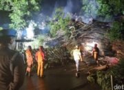 1. **Wali Kota Bogor: Penanganan Pohon Raksasa di Dekat Stasiun Bogor Diperkirakan Selesai Pagi Ini**