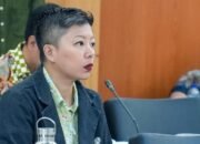 PSI: Peningkatan Pengecekan Pohon di Area Publik Wajib Dilakukan Pemprov DKI