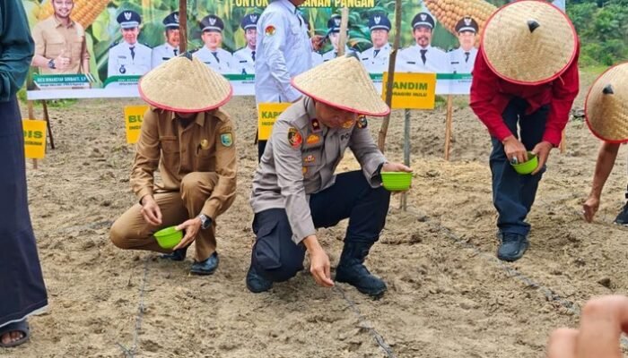 Dukung Swasembada Pangan, Polres Inhu Jadikan Lahan 10 Hektare sebagai Percontohan Tanam Jagung