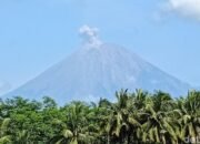 Erupsi Semeru Melonjak, Warga Diminta Mundur 8 Km dari Puncak Vulkanik