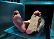 Darah dan Duka: Pemulung Tewas Kecelakaan, Siapa yang Bertanggung Jawab?