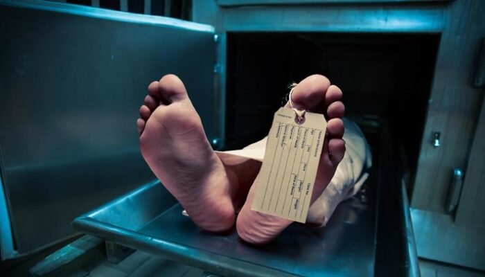 Darah dan Duka: Pemulung Tewas Kecelakaan, Siapa yang Bertanggung Jawab?