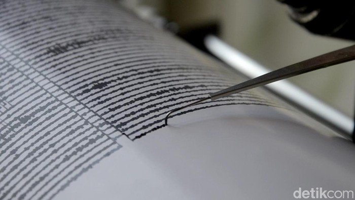 Gempa M 4,2 Guncang Jayapura, Warga Berlarian ke Tempat Aman