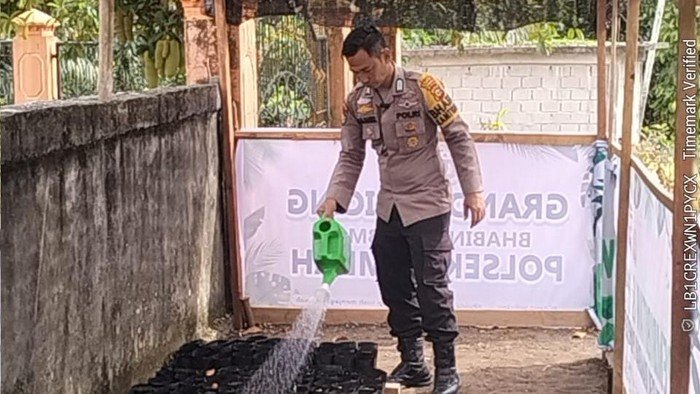 1.000 Bibit dari Bhabin Polres Rohul, Benarkah Pohon untuk Negeri?