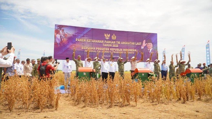 Dukung Swasembada Pangan, Pemprov Lampung-TNI Panen Kedelai: Solusi Kebutuhan Lokal