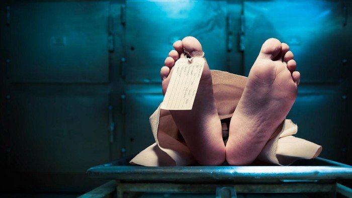 KRL Tewaskan Wanita Asal Lampung, Kebijakan Perlintasan di Bogor Diperiksa