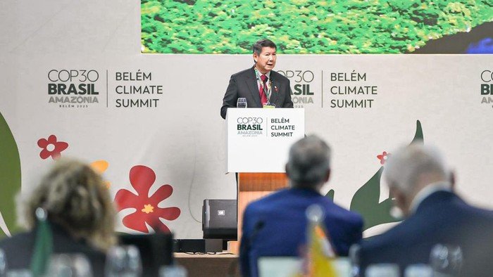 Hashim: Perjuangan melawan Deforestasi RI, Hasilnya Akhirnya Muncul!