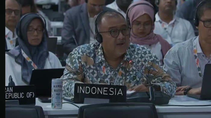 [COP30 Brasil: RI Menolak Adopsi Istilah Gender, Apa yang Sebenarnya Terjadi?]