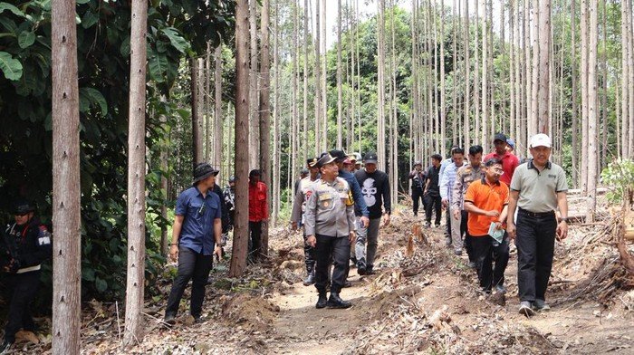 Gajah Tanpa Gading dan Kepala, 7 Langkah Pemerintah Cari Jawaban Kematian Mysterious
