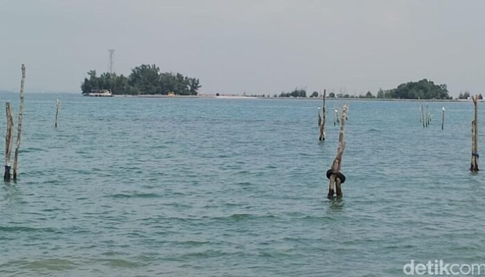 Banjir Rob Siap Menyapu Pesisir RI! Waspada, 12-19 Februari