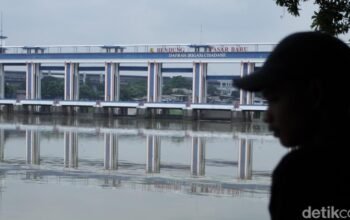 Kebakaran Pabrik di Tangerang: 20 Ton Pestisida Racun Sungai Cisadane