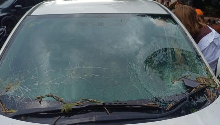 “Bencana di Jl TB Simatupang: Pohon Tumbang Timpa Mobil, Kaca Hancur dalam Sekejap”