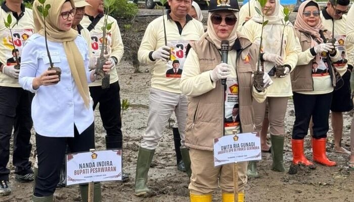 “Tanam 1.000 Mangrove, Legislator Gerindra Peringati HUT di Lampung”