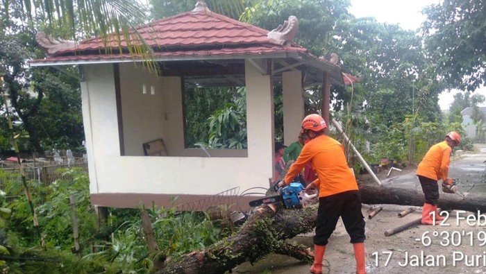 Hujan Angin Membuat 3 Rumah Tercapai di Cibinong Bogor, Pohon Tumbang Menyebabkan Kerusakan