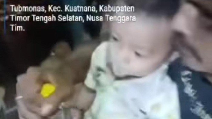Ayah di NTT Paksa Anak 11 Bulan Minum Miras, Polisi Turun Tangan!
