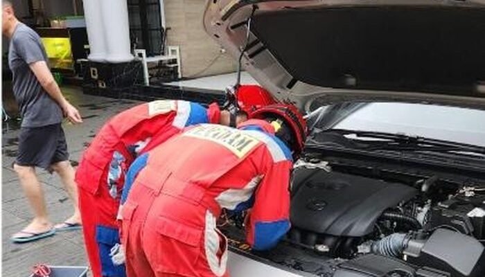 Sanca Albino Warga Jaktim Menghilang, Ternyata Ngumpet di Kap Mobil – Update 2