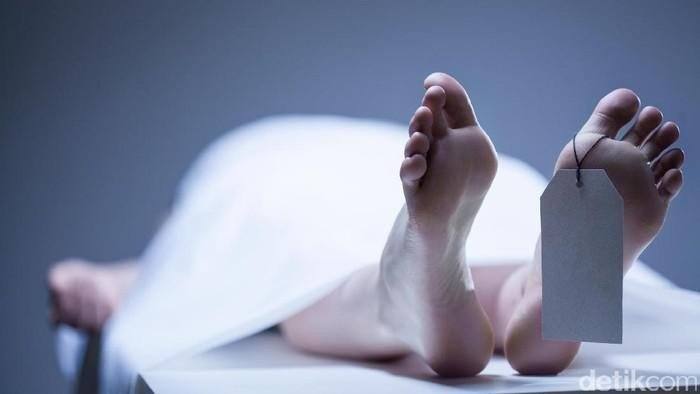 3 Jiwa Hancur dalam Tragedi Truk Kontainer di Karawang, Siapa yang Bertanggung Jawab?