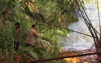 Berkat 110, Polisi-TNI-BPBD Gerak Cepat Padamkan Kebakaran Lahan di Riau – Update 1