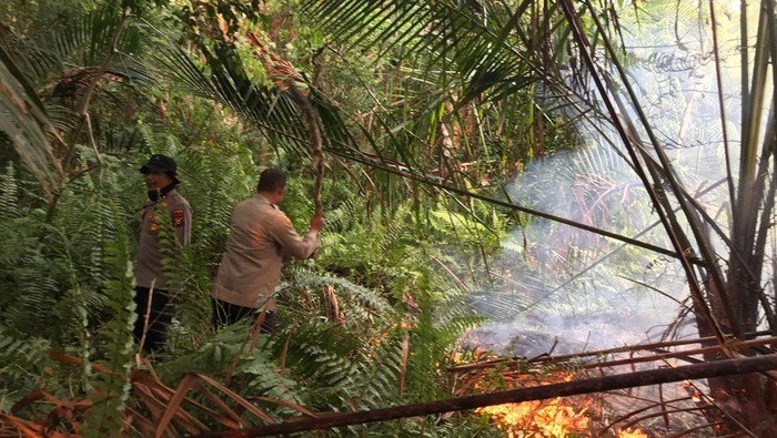 Berkat 110, Polisi-TNI-BPBD Gerak Cepat Padamkan Kebakaran Lahan di Riau - Update 1