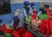 “Bundling Strategi Cerdas: Jaga MBG Tetap Beredar di Libur Lebaran”