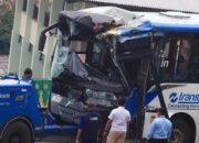 Polisi Periksa Sopir TransJ yang Adu Banteng di Jalur ‘Langit’ – Update 2