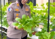 Polantas Riau Ciptakan Green Policing, Kantor Jadi Kebun Hidroponik!