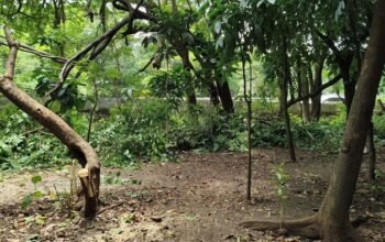 “Taman Kota Cawang Jadi Sorotan, Pengamanan Diperketat karena Diduga Jadi Tempat Asusila”