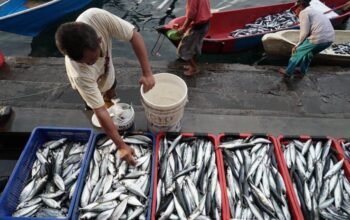 **”Potret Arsitektur Ketahanan Pangan Biru di Ramadan 2026: Menyelamatkan Ikan atau Menyelamatkan Hidup?”**