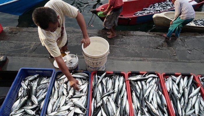 **”Potret Arsitektur Ketahanan Pangan Biru di Ramadan 2026: Menyelamatkan Ikan atau Menyelamatkan Hidup?”**
