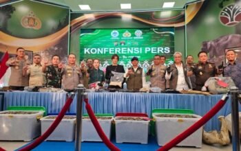 “Terungkap Jejak Gading Gajah Tesso Nilo: Destinasi Solo Terancam oleh Perdagangan Ilegal”