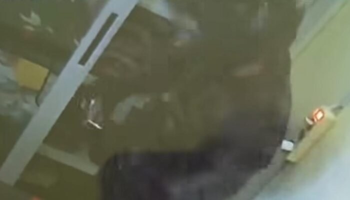 Dari Bogor, Masyarakat Gunung Putri Terserang Kebangkangan