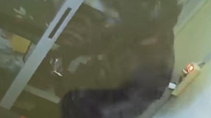 Dari Bogor, Masyarakat Gunung Putri Terserang Kebangkangan