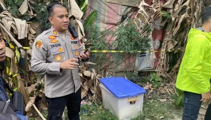 [Misteri Mayat dalam Boks Kontainer di Sungai Medan: Investigasi Sedang Berlangsung]