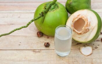 “Misteri Kelapa Utuh Berujung 9 SPPG di Gresik: Kenapa Ditutup?”