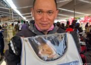 2 Kucing Kesayangan Pasutri Ini Bantu Perkuat Cinta di Perjalanan Mudik 700 Km