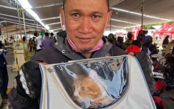 2 Kucing Kesayangan Pasutri Ini Bantu Perkuat Cinta di Perjalanan Mudik 700 Km