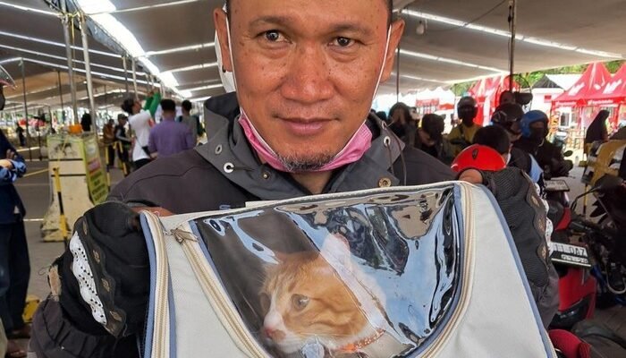 2 Kucing Kesayangan Pasutri Ini Bantu Perkuat Cinta di Perjalanan Mudik 700 Km