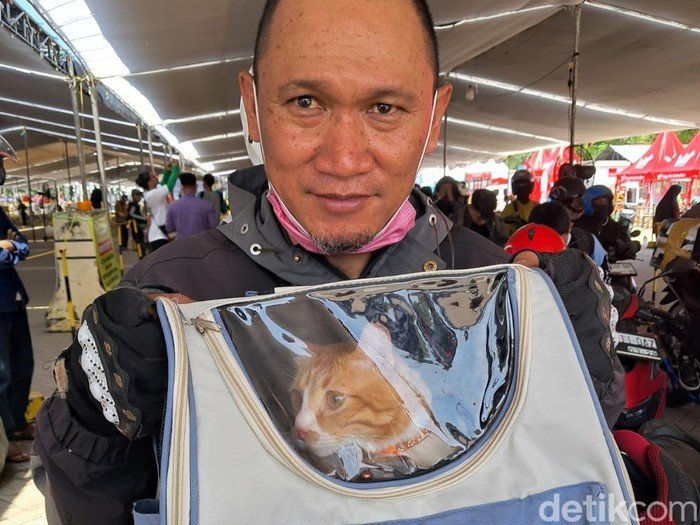 2 Kucing Kesayangan Pasutri Ini Bantu Perkuat Cinta di Perjalanan Mudik 700 Km