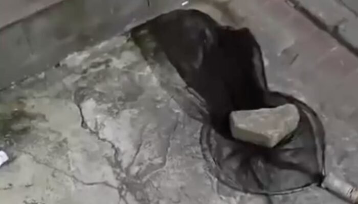 Kucing Jadi Korban, Pria di Tangerang Viral karena Protes Jaringan yang Mencekik!