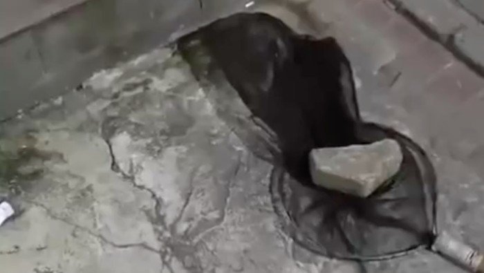 Kucing Jadi Korban, Pria di Tangerang Viral karena Protes Jaringan yang Mencekik!