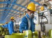 Projo Usul Pemerintah Bentuk Badan Pengendali LPG Subsidi Tengah Diselimuti Gejolak Minyak Dunia #Berita