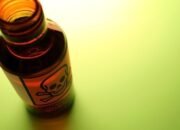 “Tokoh Oposisi Dibunuh di Halte Bus, Payung Jadi Sorotan dalam Kasus Mengejutkan”