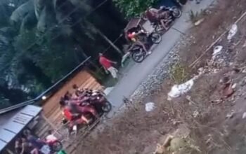 Curi Sawit Tak Beruntung, 2 Pria di Morowali Jadi Sasaran Warga!