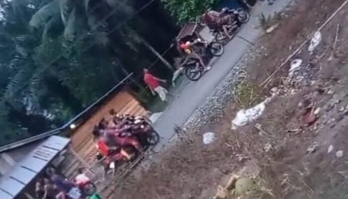 Curi Sawit Tak Beruntung, 2 Pria di Morowali Jadi Sasaran Warga!