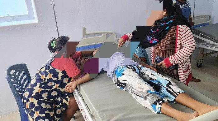 Komisi IX DPR Dorong Aturan Baru, Larang Konsumsi Daging Anjing-Kucing demi Kesehatan Masyarakat